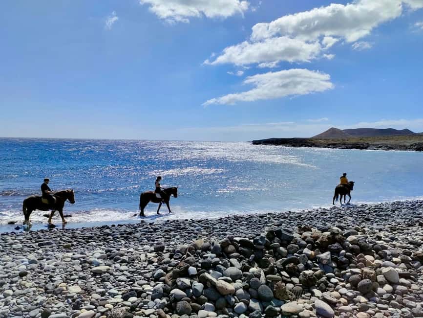Tenerife South: Private Horseback Ride to the Coast - Costa del Silencio and its black volcanic shore