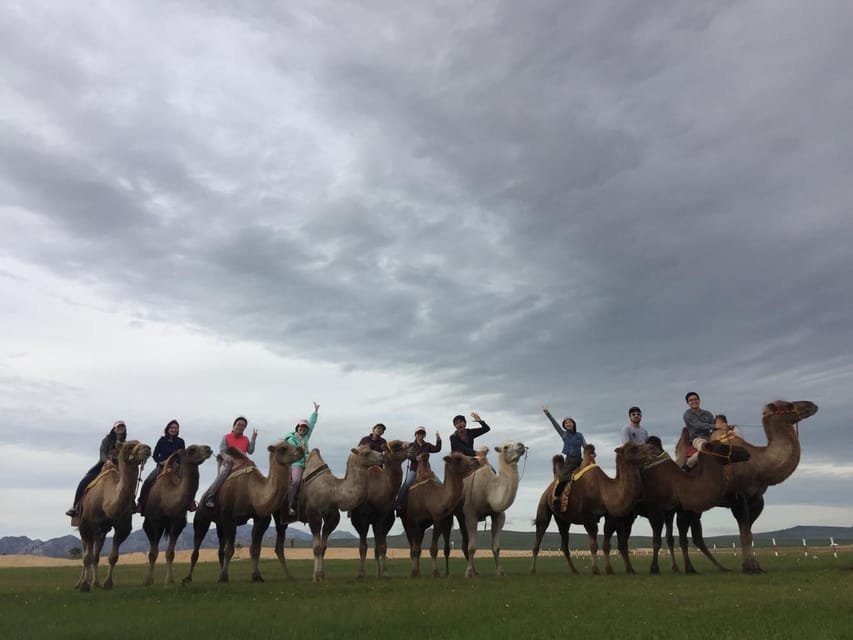 Terelj ,Khar khorum ,Horse ride , Camel ride , Monastery - Key points to know before booking