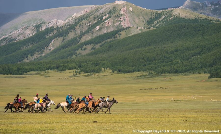 Terelj National Park: Tour with horse riding and hiking - Hiking, horse riding, and eagle photography