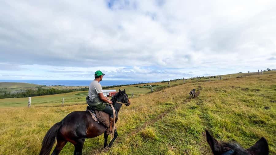 Terevaka Horse Excursion: The highest point and 360° view. - Reaching Rapa Nui’s highest point