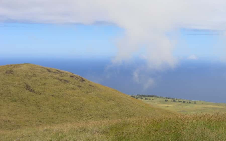 Terevaka Horse Excursion: The highest point and 360° view. - What the 150-minute schedule really gives you