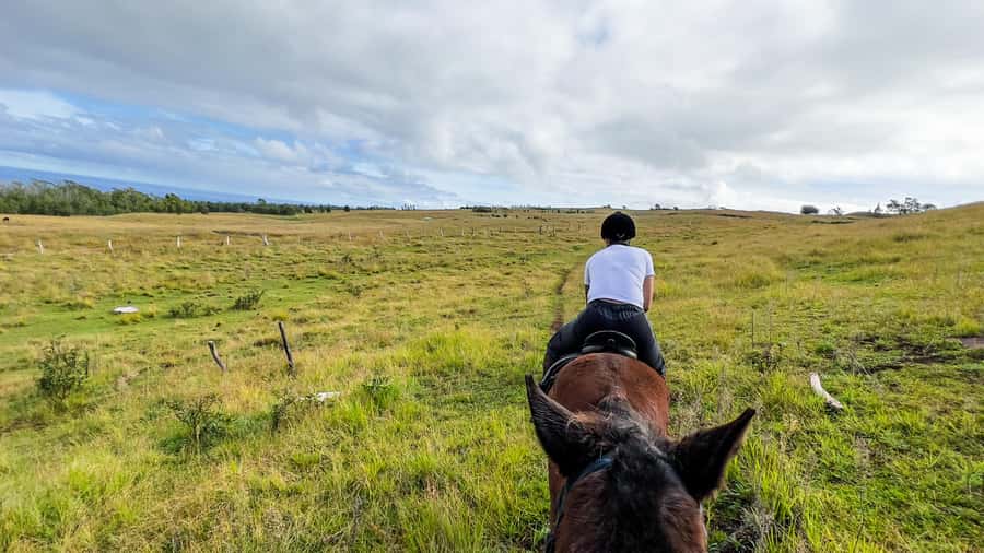 Terevaka Horse Excursion: The highest point and 360° view. - Riding from the fields toward Terevaka