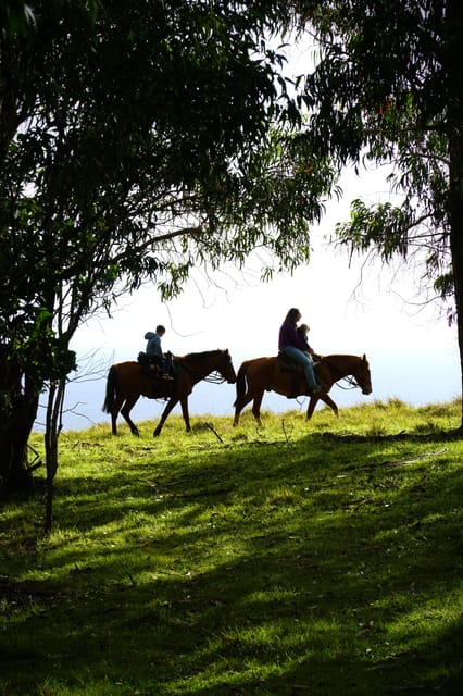 Terevaka Mount: Morning Horseback Riding & Planting Tour - Key points at a glance