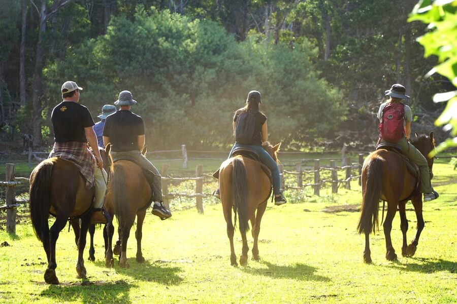 Terevaka Mount: Morning Horseback Riding & Planting Tour - Who should book this ride?