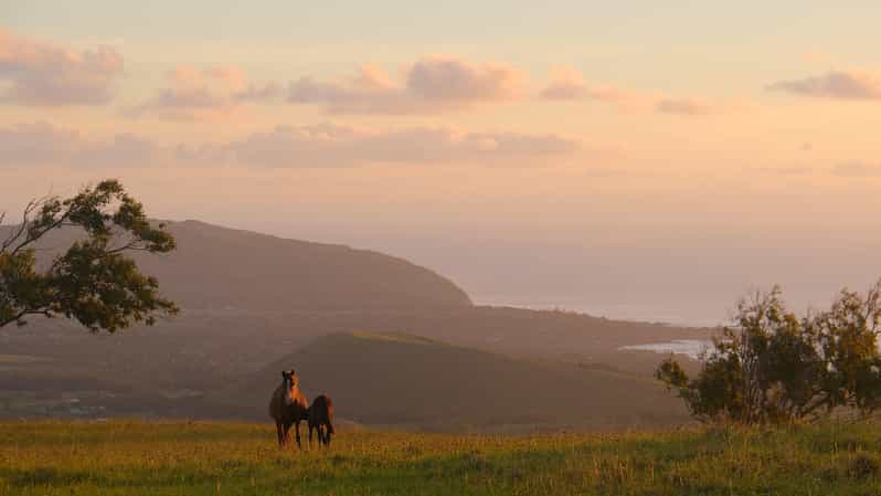 Terevaka Mount: Morning Horseback Riding & Planting Tour - Why the route to Terevaka matters