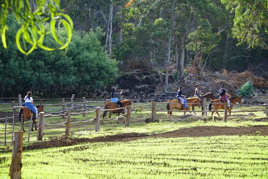 Terevaka Mount: Morning Horseback Riding & Planting Tour - The climb to Mount Terevaka