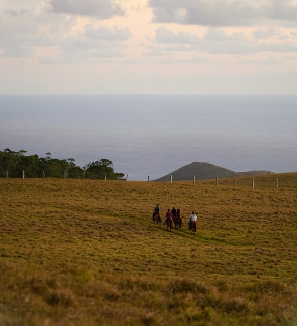 Terevaka Mount: Morning Horseback Riding & Planting Tour - Is $150 a fair price?