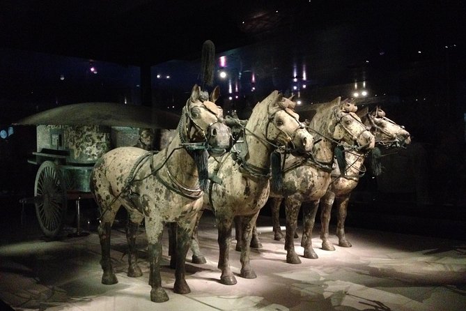 Terra-Cotta Warriors & Horses Essential Full Day Tour from Xi'an - Is $79 good value?