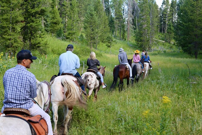 Teton View Horse Riding with Lunch - Ann’s Ridge and the included lunch