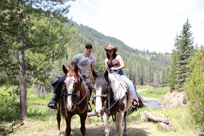 Teton View Horse Riding with Lunch - Returning by Bryan’s Flat logging road