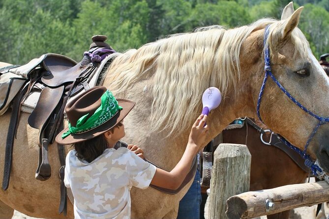 Teton View Horse Riding with Lunch - Final call: Is this ride worth booking?