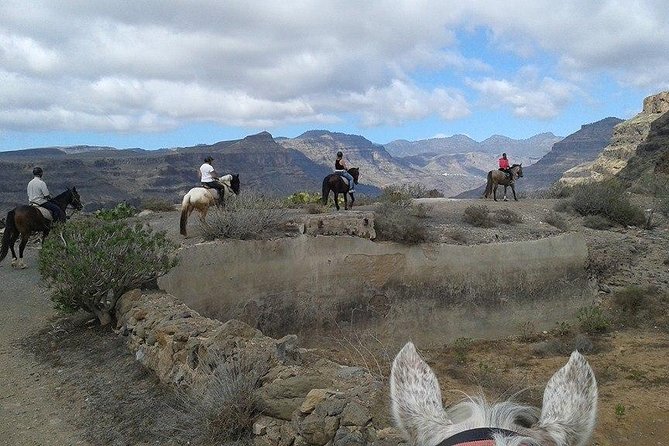 The Best Horse Riding Experience in Gran Canaria (1 hour) - A gentle introduction for first-time riders