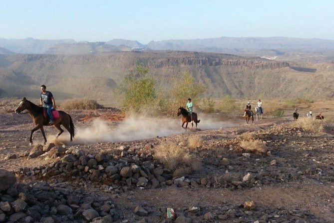 The Best Horse Riding Experience in Gran Canaria (1 hour) - Who will enjoy this ride most?