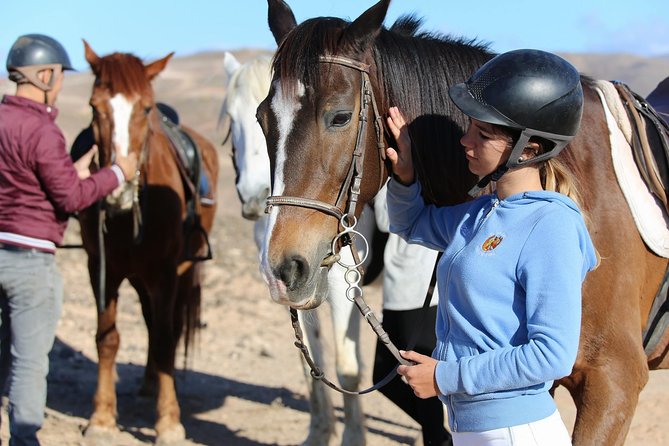 The Best Horse Riding Experience in Gran Canaria (1 hour) - The Maspalomas view from the saddle
