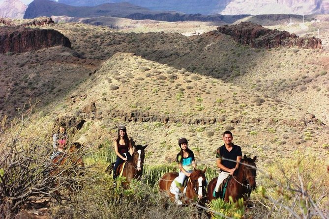 The Best Horse Riding Experience in Gran Canaria (2 hours) - How the small-group setup helps