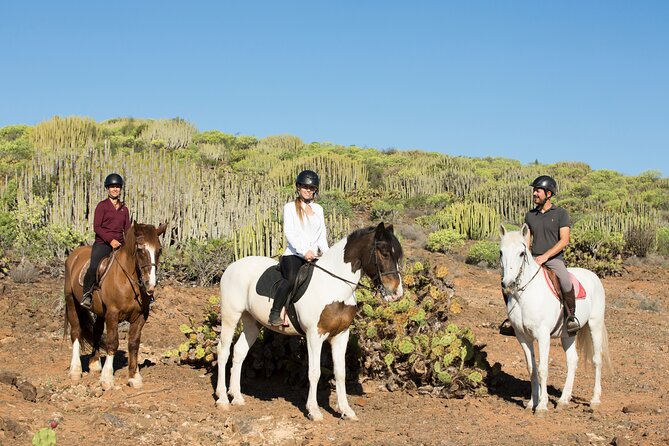 The Best Horse Riding Experience in Gran Canaria (2 hours) - Who will enjoy this most?