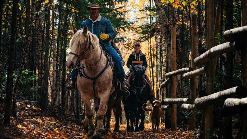 The Montagnarde: Guided horseback ride on mountain trails. - What the small group changes