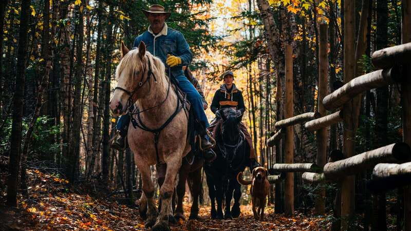 The Montagnarde: Guided horseback ride on mountain trails. - Who should book The Montagnarde