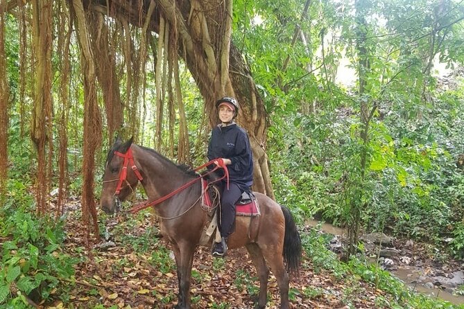 The Ultimate Dominican Horseback Riding Adventure - What makes this ride different
