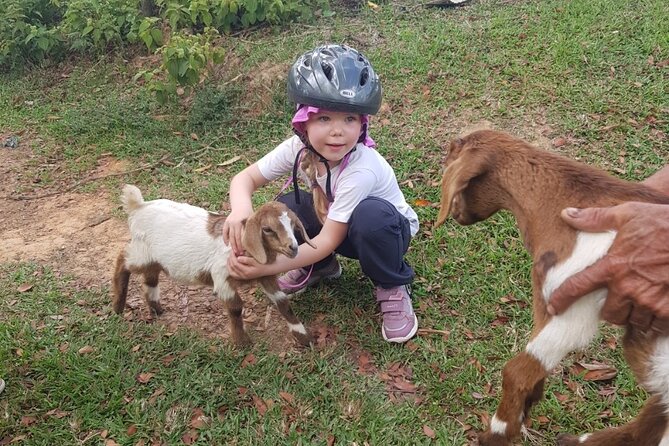 The Ultimate Dominican Horseback Riding Adventure - Getting fitted to a horse and learning the basics