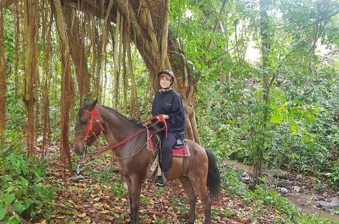 The Ultimate Dominican Horseback Riding Adventure - Lunch with a Dominican family