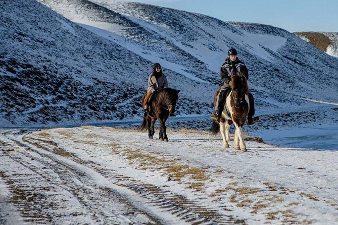 The Viking Horse Riding Experience in North Iceland - Key points to know before you book