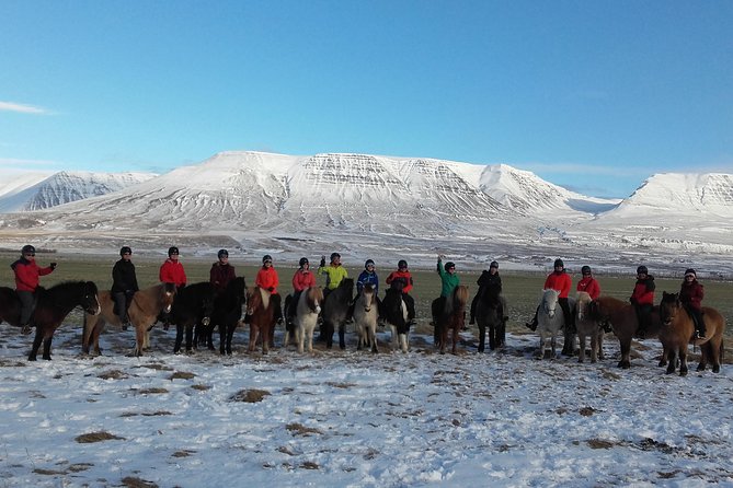 The Viking Horse Riding Experience in North Iceland - From Hestasport reception to the saddle