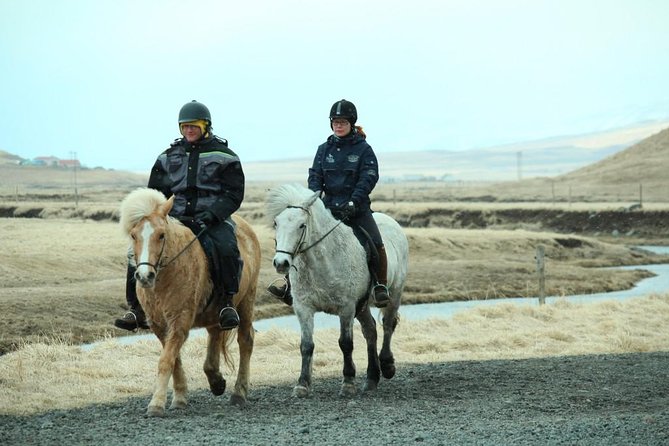 The Viking Horse Riding Experience in North Iceland - The guides shape the experience