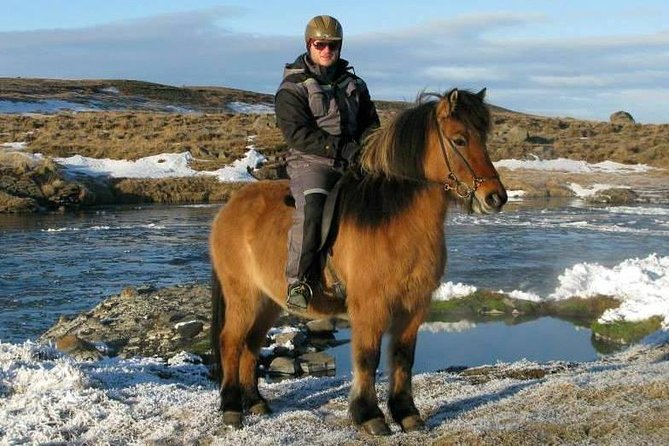 The Viking Horse Riding Experience in North Iceland - The price and what you receive for $123.75