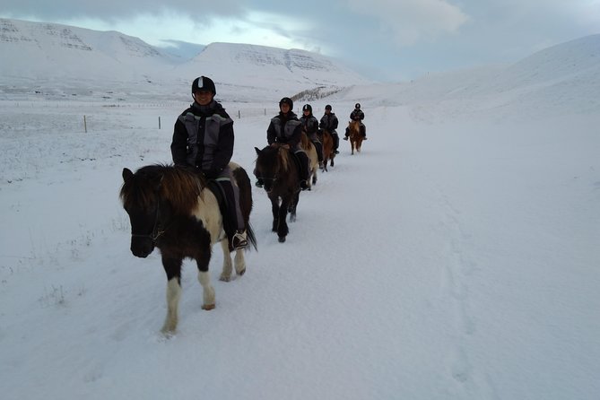 The Viking Horse Riding Experience in North Iceland - Location, timing, and the easy mistake to avoid