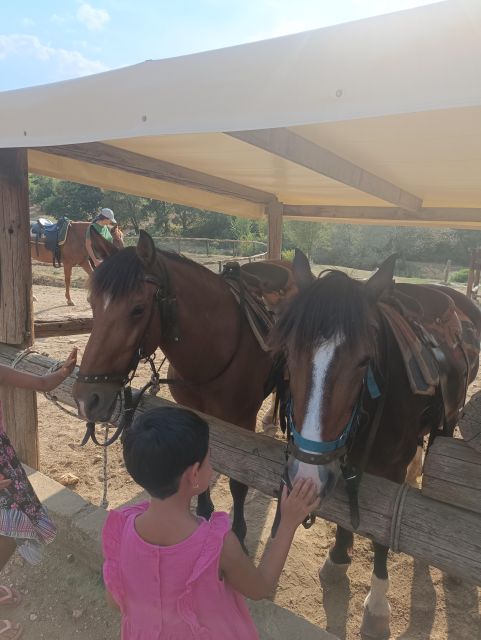 Thessaloniki:Horse Riding in a farm - Leaving Thessaloniki for a quieter afternoon