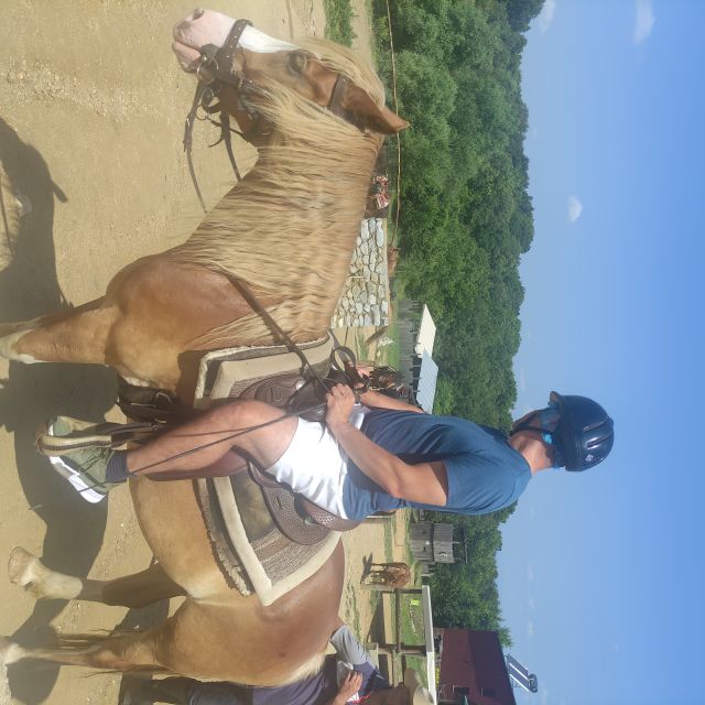 Thessaloniki:Horse Riding in a farm - Food, timing, and practical planning