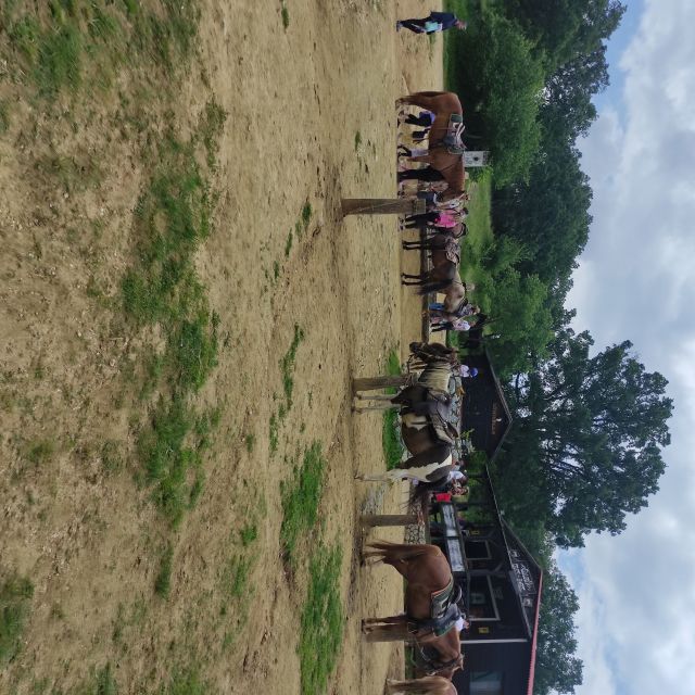 Thessaloniki:Horse Riding in a farm - A 40-minute ride through the countryside