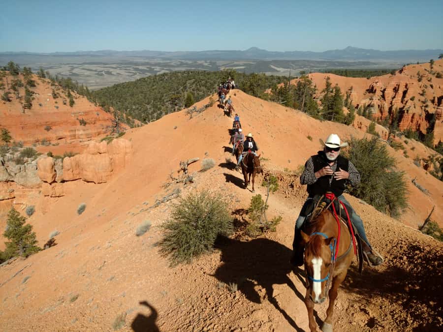 Thunder Mountain Trail: Scenic Horseback Ride - Riding Thunder Mountain from the forest floor