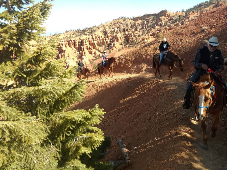 Thunder Mountain Trail: Scenic Horseback Ride - Why the bottom-to-top route works well