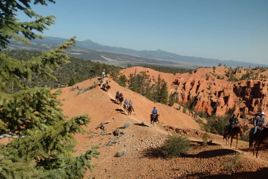Thunder Mountain Trail: Scenic Horseback Ride - What $150 includes, and what it does not