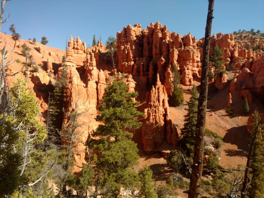Thunder Mountain Trail: Scenic Horseback Ride - Should you book Thunder Mountain Trail?