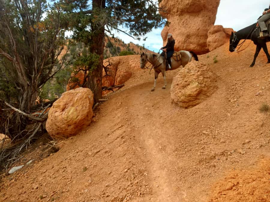 Thunder Mountain Trail: Scenic Horseback Ride - Tight switchbacks and narrow ridges