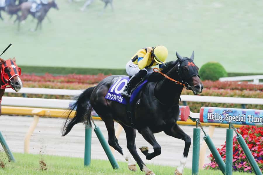 Tokyo: Horse Racing Tour with Local Fan - Why Japanese horse racing is worth your afternoon