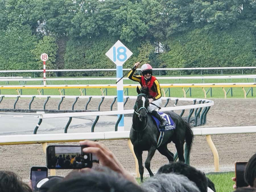 Tokyo: Horse Racing Tour with Local Fan - Four racecourses, four possible settings