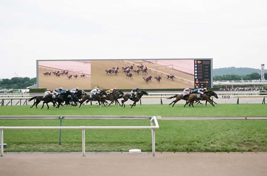 Tokyo: Horse Racing Tour with Local Fan - Meeting Eito and getting oriented