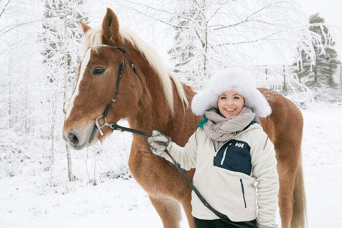 Tour to Aurora Horses Farm with Charming Finnhorses - Key points to know before booking