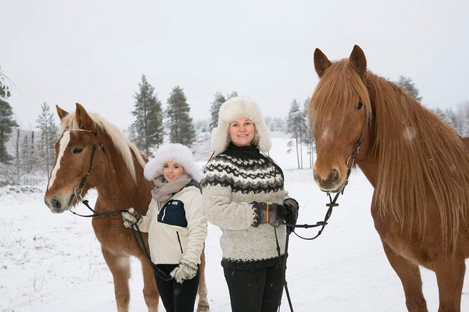 Tour to Aurora Horses Farm with Charming Finnhorses - Meeting Finnhorses near Santa Claus Village