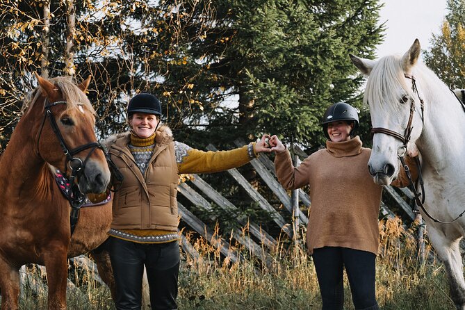 Tour to Aurora Horses Farm with Charming Finnhorses - A short ride, not a riding lesson