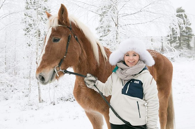 Tour to Aurora Horses Farm with Charming Finnhorses - Price and value at $42.34