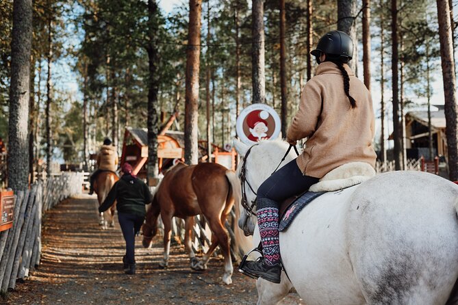 Tour to Aurora Horses Farm with Charming Finnhorses - Who will enjoy this most