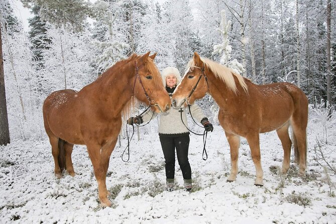 Tour to Aurora Horses Farm with Charming Finnhorses - What happens during the 30-minute visit