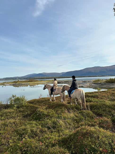Tromsø: Horseback Riding Tour - Key points at a glance