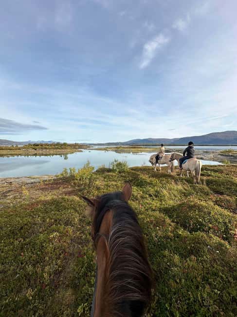 Tromsø: Horseback Riding Tour - Why this Kvaløya ride feels different