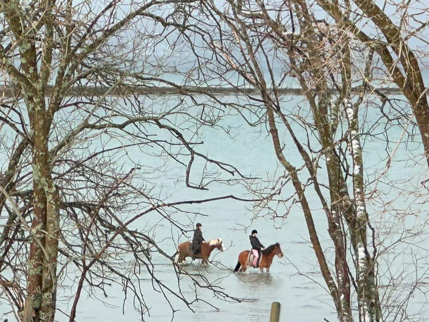 Tromsø: Horseback Riding Tour - The first 10 minutes at Mari Sletta Farm